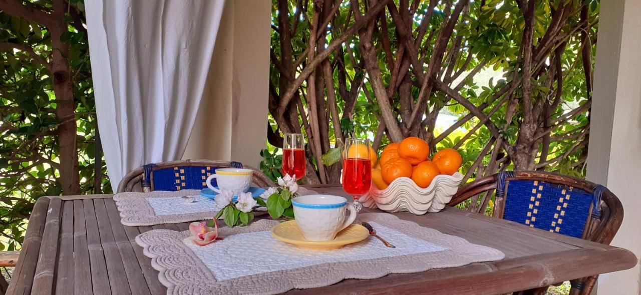 Stazzo San Teodoro L'Olivastro Piscina Condivisa Apartment Екстериор снимка